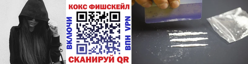 Купить где  Лахденпохья  COCAIN FishScale 