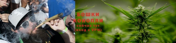 не бодяженный Корсаков