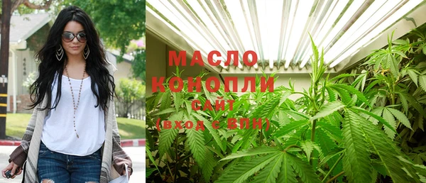гидра Коряжма