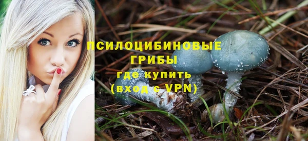 ALPHA PVP Костерёво