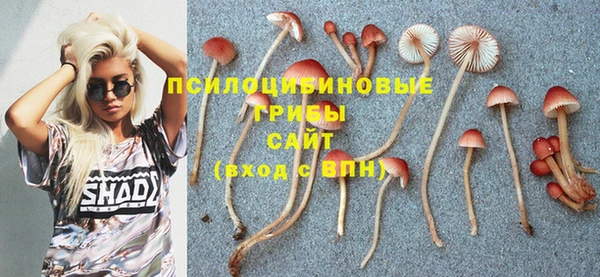 не бодяженный Корсаков