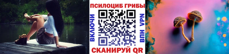 Купить закладки  Лахденпохья  Галлюциногенные грибы Psilocybe 